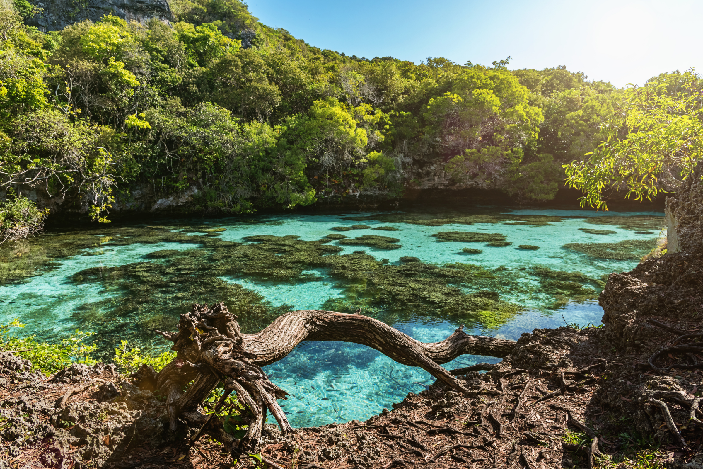 tadine, maré (2).webp